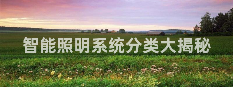 千亿国际服务平台官网：智能照明系统分类大揭秘