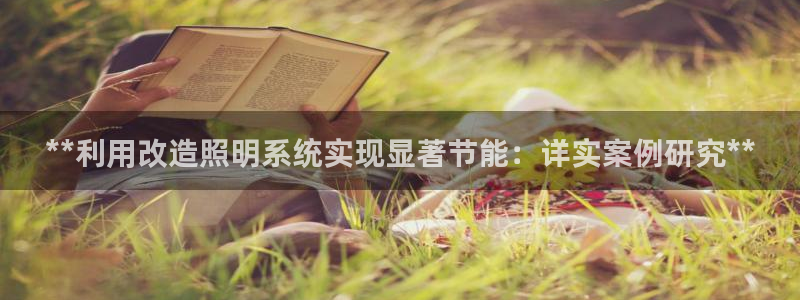千亿国际电子游戏平台中心:**利用改造照明系统实现显著节能:详实案例研究**