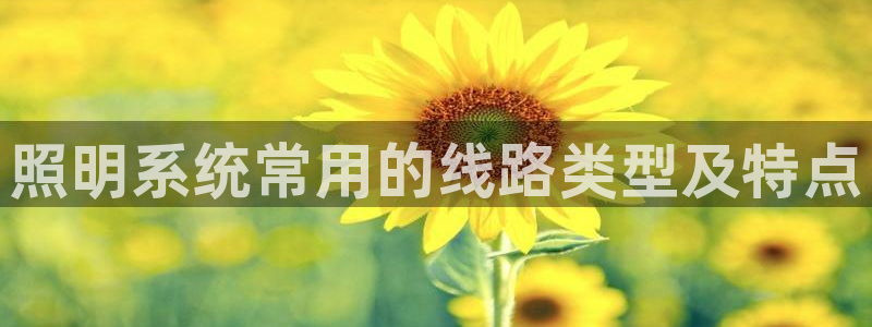 千亿国际2021年1.29更新版pkufli:照明系统常用的线路类型及特点