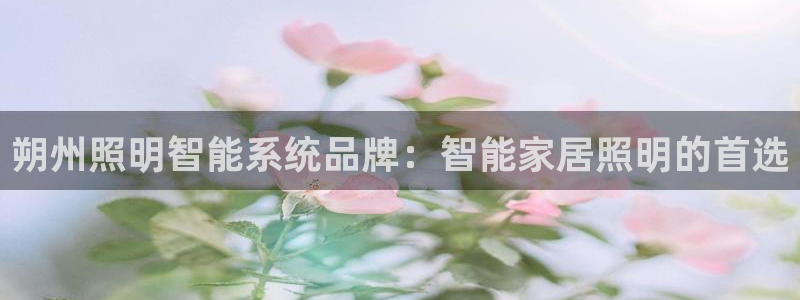 千亿国际下载:朔州照明智能系统品牌:智能家居照明的首选