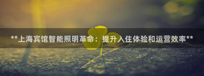 千亿国际唯一平台是什么:**上海宾馆智能照明革命:提升入住体验和运营效率**