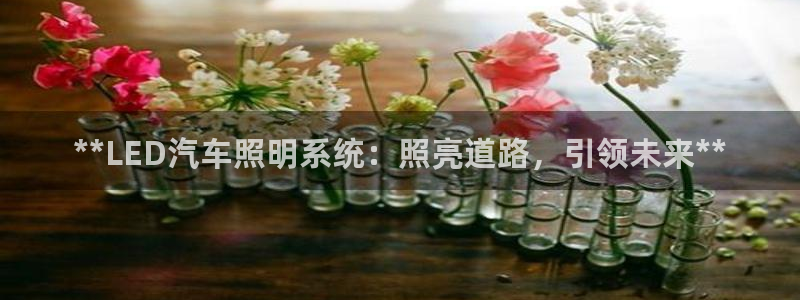 千亿国际淏玉化妆品:**LED汽车照明系统:照亮道路,引领未来**