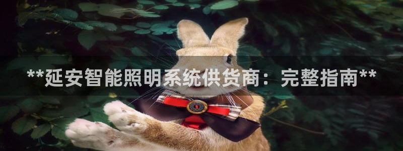 千亿国际2021年1.29更新版pkufli:**延安智能照明系统供货商:完整指南**