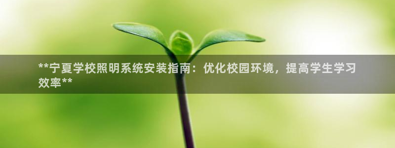 千亿国际2021年4.25更新版pkufli:**宁夏学校照明系统安装指南:优化校园环境,提高学生学习
效率**
