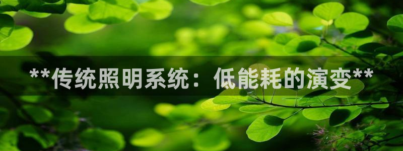 千亿国际2021官方网站baoli5.10:**传统照明系统:低能耗的演变**