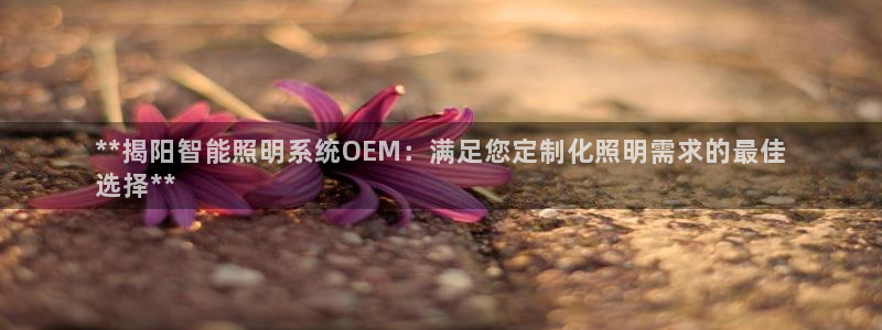 千亿国际平台是什么公司:**揭阳智能照明系统OEM:满足您定制化照明需求的最佳
选择**