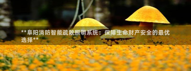 千亿国际q y 996:**阜阳消防智能疏散照明系统:保障生命财产安全的最优
选择**