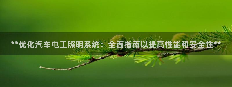 千亿国际入口:**优化汽车电工照明系统:全面指南以提高性能和安全性**