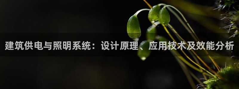 千亿国际手机版唯一官网下载：建筑供电与照