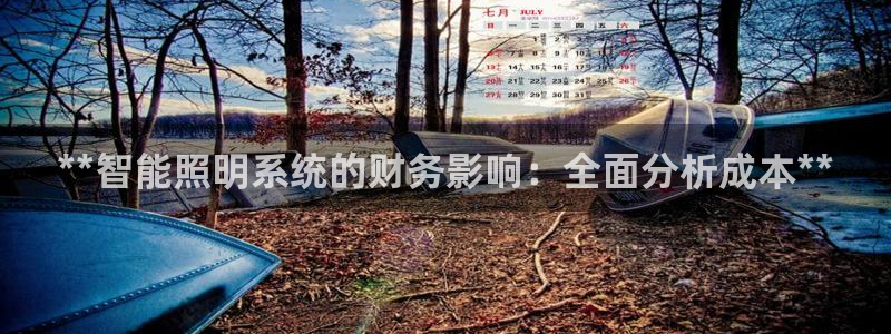 千亿国际是什么平台公司:**智能照明系统的财务影响:全面分析成本**