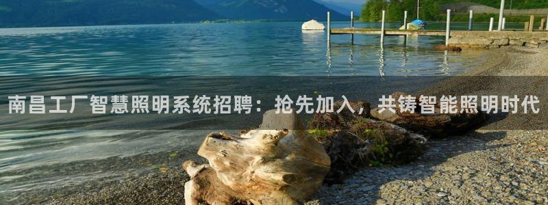 千亿国际集团：南昌工厂智慧照明系统招聘：