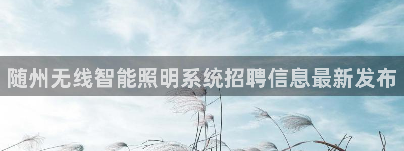 千亿国际黑吗:随州无线智能照明系统招聘信息最新发布