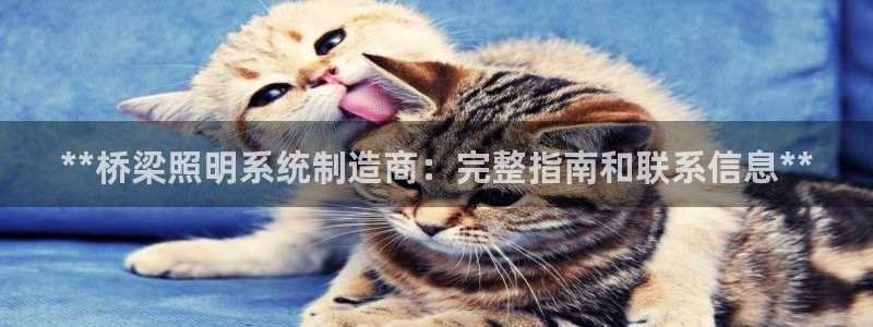 千亿国际怎么下载啊:**桥梁照明系统制造商:完整指南和联系信息**