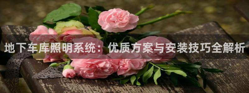 千亿国际手机登录网站:地下车库照明系统:优质方案与安装技巧全解析