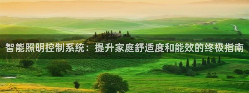 千亿国际游戏登录：智能照明控制系统：提升家庭舒适度和能效的终极指南
