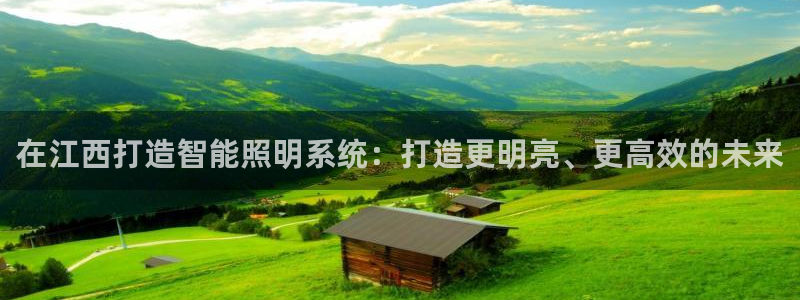 千亿国际欧阳文浩：在江西打造智能照明系统