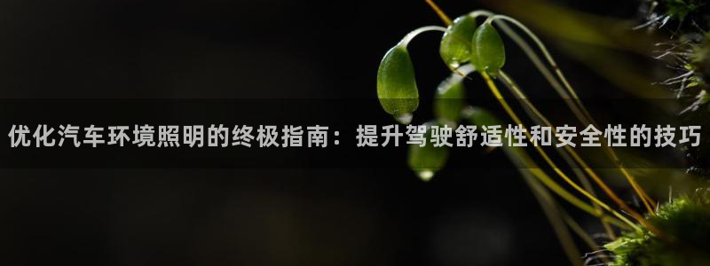 千亿国际手机版app下载：优化汽车环境照明的终极指南：提升驾驶舒适性和安全性的技巧