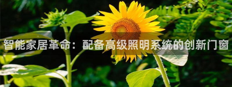 千亿国际集团怎么样啊:智能家居革命:配备高级照明系统的创新门窗