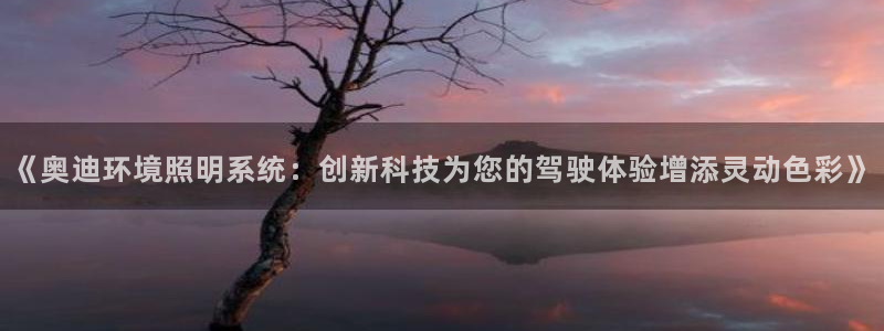 千亿国际(唯一)平台下载：《奥迪环境照明