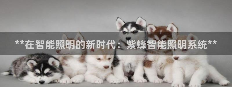 qy866千亿国际:**在智能照明的新时代:紫蜂智能照明系统**