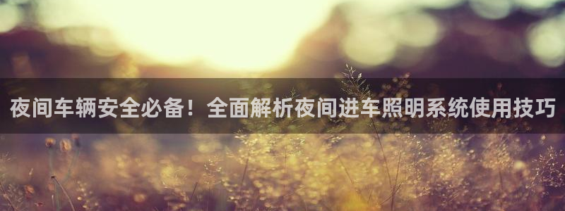 千亿国际服务平台:夜间车辆安全必备!全面解析夜间进车照明系统使用技巧