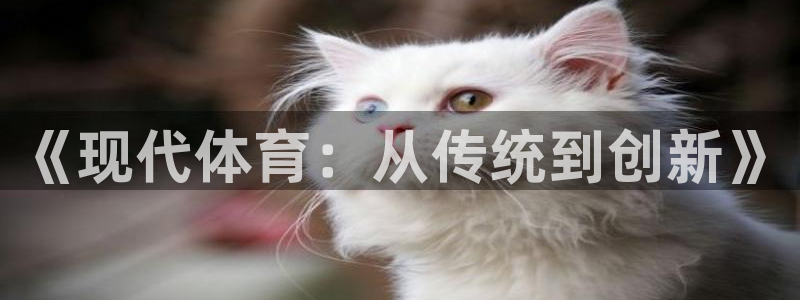 ug环球官网登录入口：《现代体育：从传统到创新》