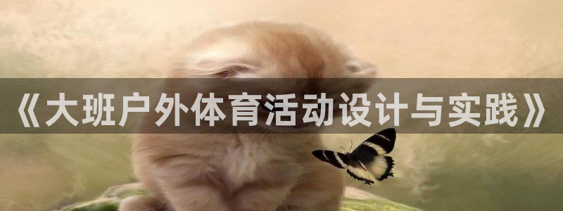 菲律宾ug环球官网：《大班户外体育活动设计与实践》