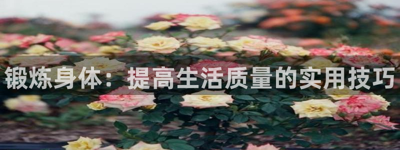ug环球官网登录入口：锻炼身体：提高生活质量的实用技巧