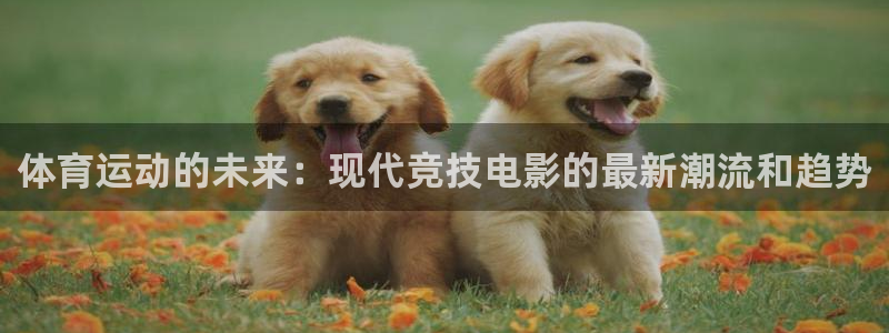ug环球官网登录入口：体育运动的未来：现代竞技电影的最新潮流和趋势