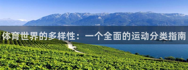 ug环球官网：体育世界的多样性：一个全面的运动分类指南