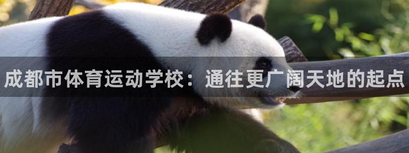 ug环球官网登录入口：成都市体育运动学校：通往更广阔天地的起点