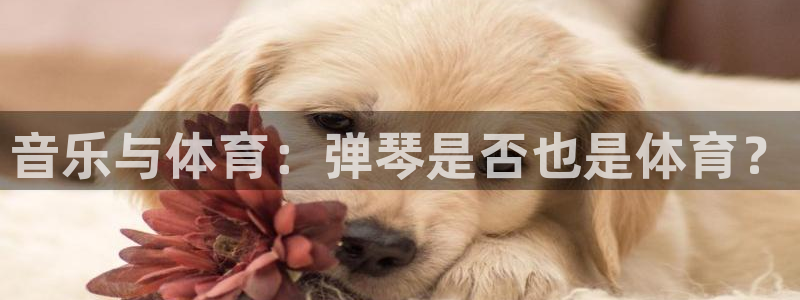 菲律宾ug环球官网：音乐与体育：弹琴是否也是体育？