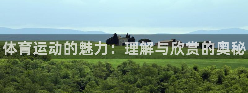ug环球官网注册：体育运动的魅力：理解与欣赏的奥秘