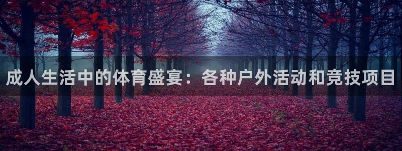 ug环球官网：成人生活中的体育盛宴：各种户外活动和竞技项目