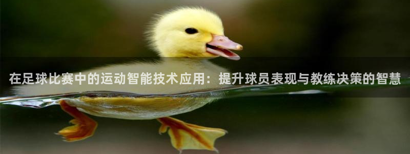 ug环球官网：在足球比赛中的运动智能技术应用：提升球员表现与教练决策的智慧