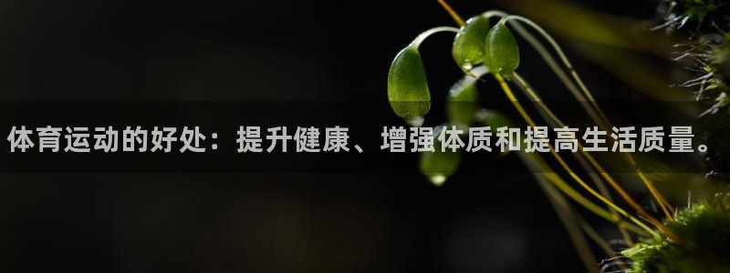 ug环球官网注册：体育运动的好处：提升健康、增强体质和提高生活质量。