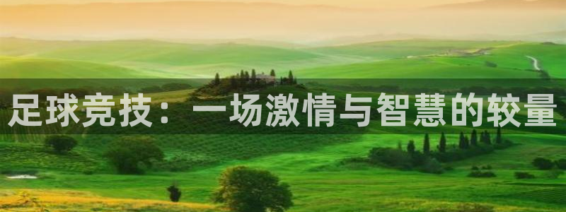 菲律宾ug环球官网：足球竞技：一场激情与智慧的较量