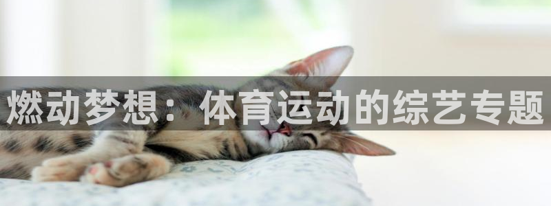ug环球官网：燃动梦想：体育运动的综艺专题