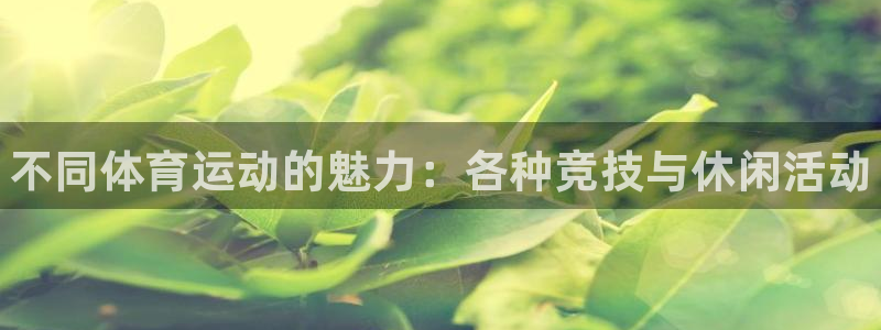 ug环球官网：不同体育运动的魅力：各种竞技与休闲活动