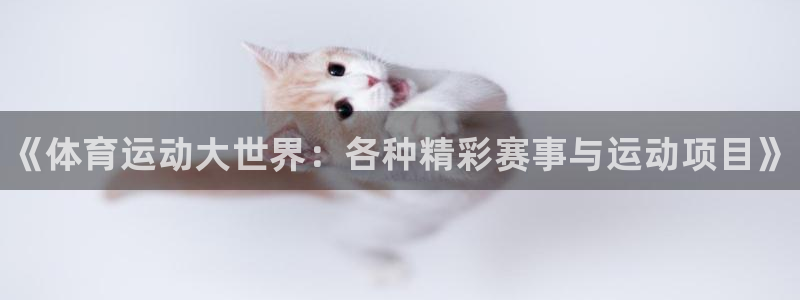 ug环球官网登录入口：《体育运动大世界：各种精彩赛事与运动项目》