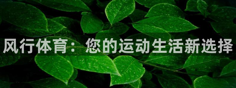 ug环球官网登录入口：风行体育：您的运动生活新选择
