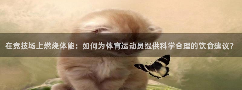 ug环球官网登录入口：在竞技场上燃烧体能：如何为体育运动员提供科学合理的饮食建议？