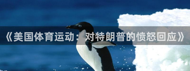 ug环球官网：《美国体育运动：对特朗普的愤怒回应》