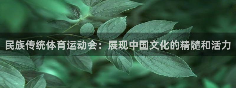 ug环球官网：民族传统体育运动会：展现中国文化的精髓和活力