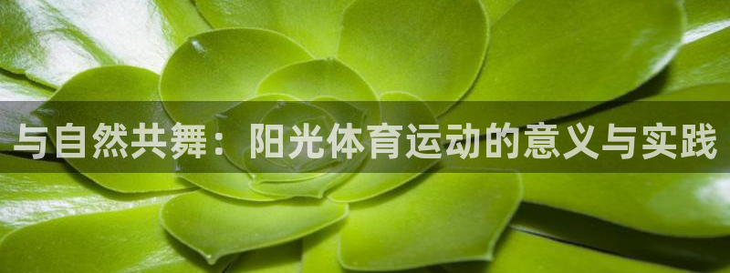 ug环球官网登录入口：与自然共舞：阳光体育运动的意义与实践