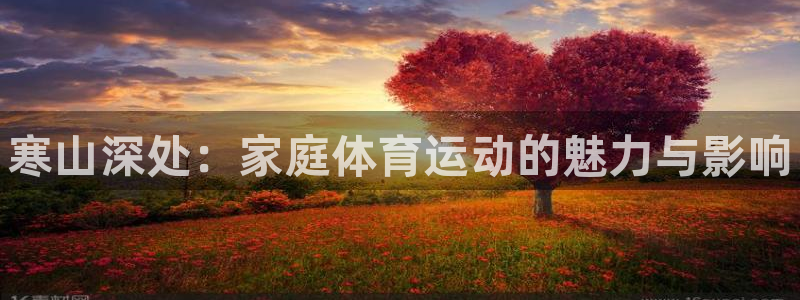 ug环球官网注册：寒山深处：家庭体育运动的魅力与影响