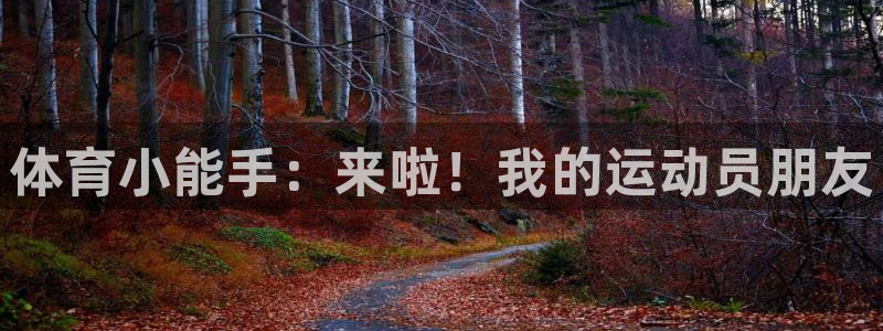 ug环球官网注册：体育小能手：来啦！我的运动员朋友